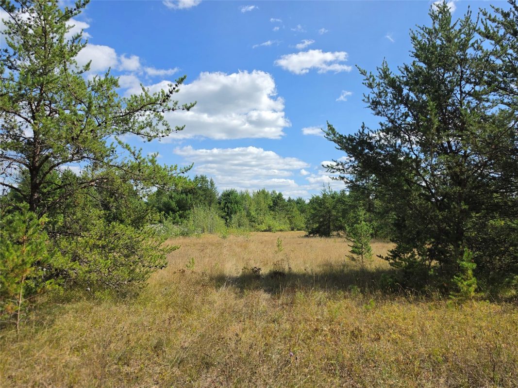 E19805 County Road GG, Augusta WI 54722 - Land house for sale - MLS #1602227 - image12