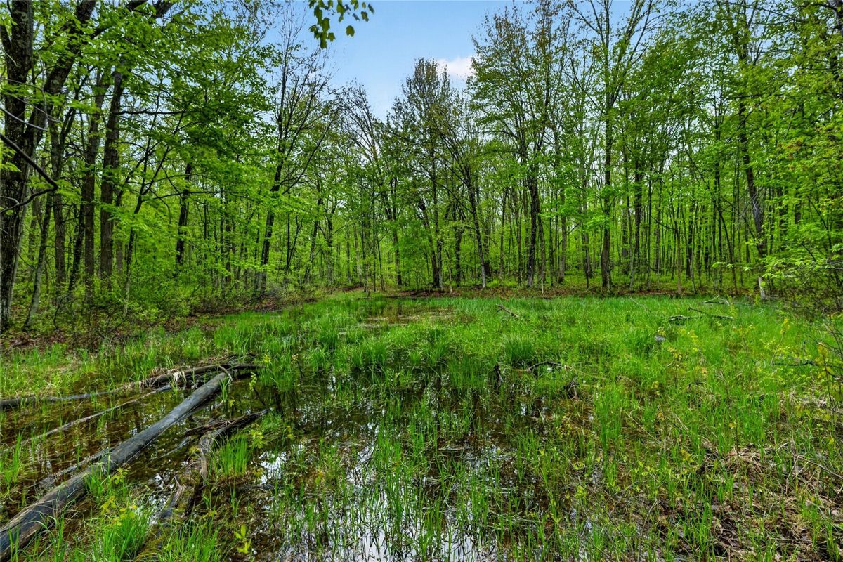 N8771 Fye Road, Trego WI 54888 - Land house for sale - MLS #1603147 - image26