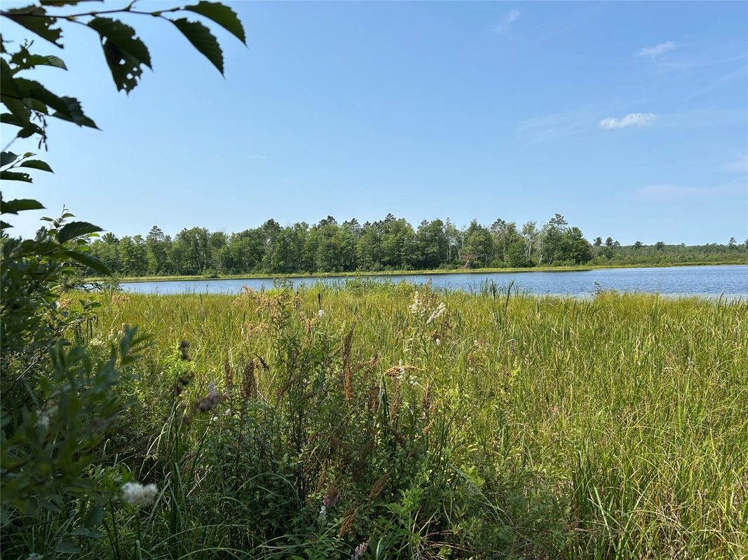 On Strabel Road, Stone Lake WI 54876 - Land house for sale - MLS #1604177 - image14