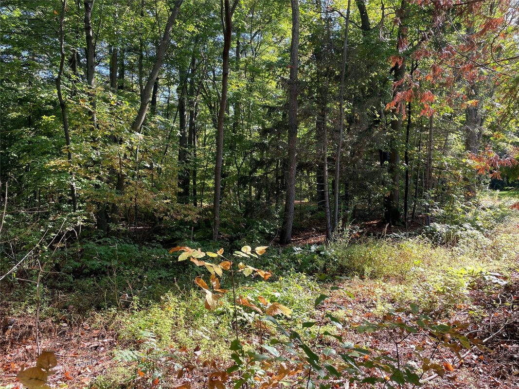 6073 Elsie Road, Stone Lake WI 54876 - Land house for sale - MLS #1602616 - image40
