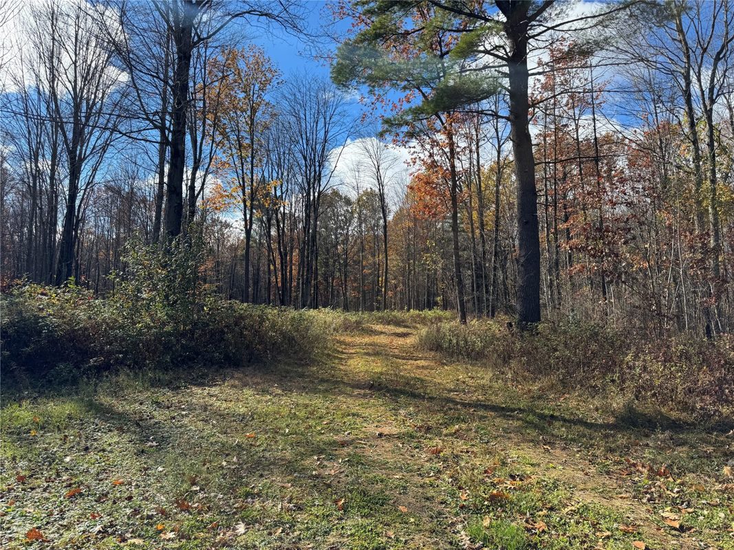 208220 Kane Lane, Mosinee WI 54455 - Land house for sale - MLS #1606074 - image12