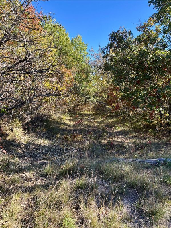 9524 Bergin Springs Road, Solon Springs WI 54873 - Land house for sale - MLS #1605714 - image18