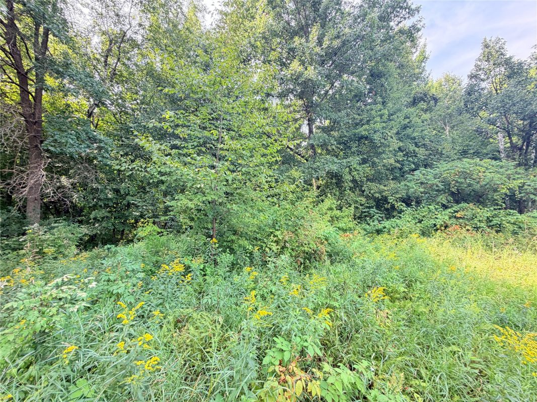 10 Acres Lot 4 230th Street, St Croix Falls WI 54024 - Land house for sale - MLS #1606210 - image9