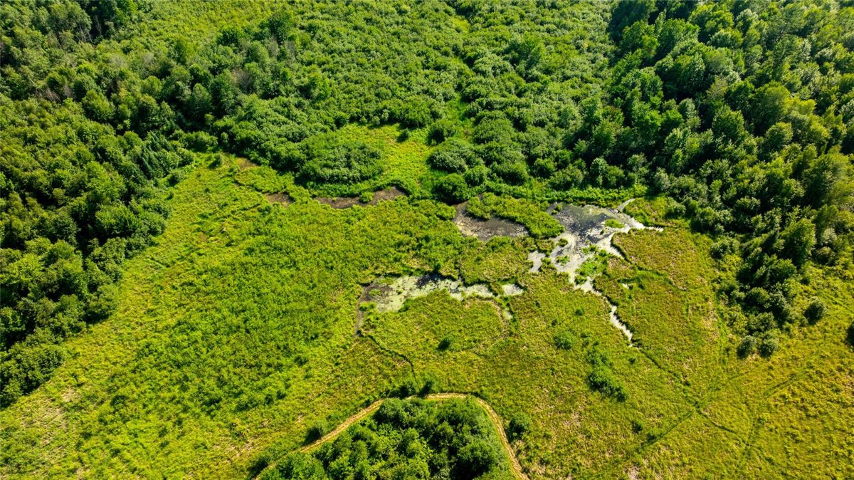 W5343 County Road X, Glen Flora WI 54526 - Land house for sale - MLS #1603306 - image12