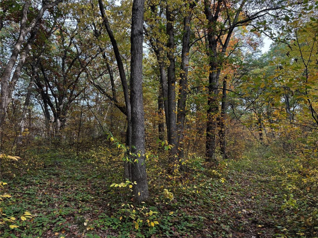 3461 56th, Frederic WI 54837 - Land house for sale - MLS #1605729 - image28