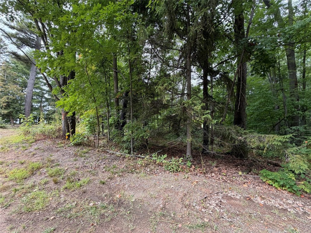 6073 Elsie Road, Stone Lake WI 54876 - Land house for sale - MLS #1602616 - image48