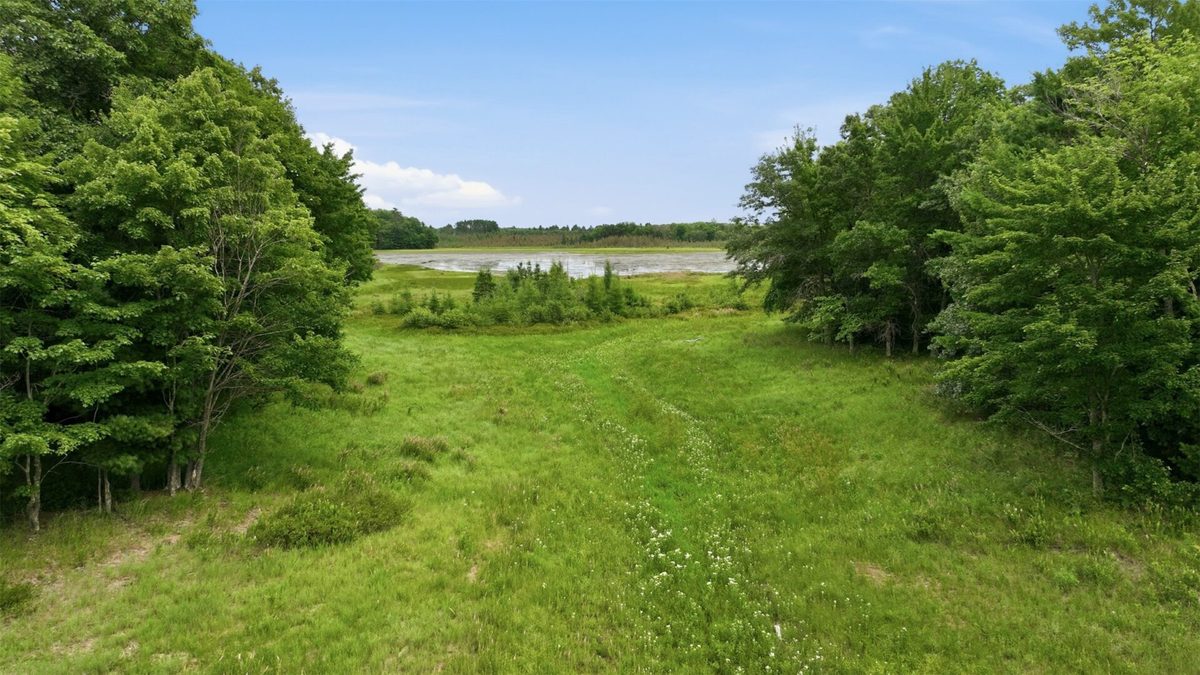 0 Goose Lake, Spooner WI 54801 - Land house for sale - MLS #1603400 - image6