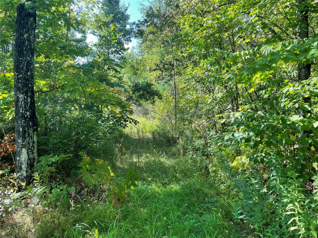 7154 McDermott Road, Winter WI 54896 - Residential house for sale - MLS #1604729 - image41