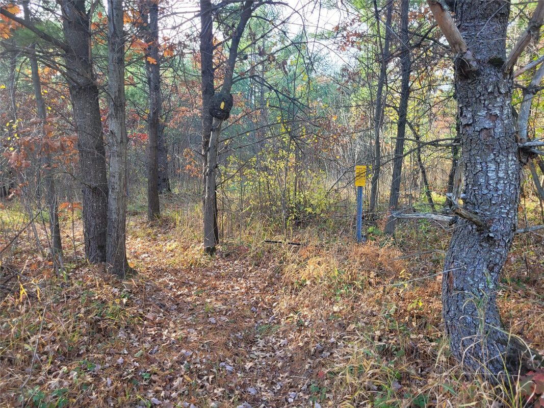 N10835 Kovar Road, Merrillan WI 54741 - Land house for sale - MLS #1606219 - image15