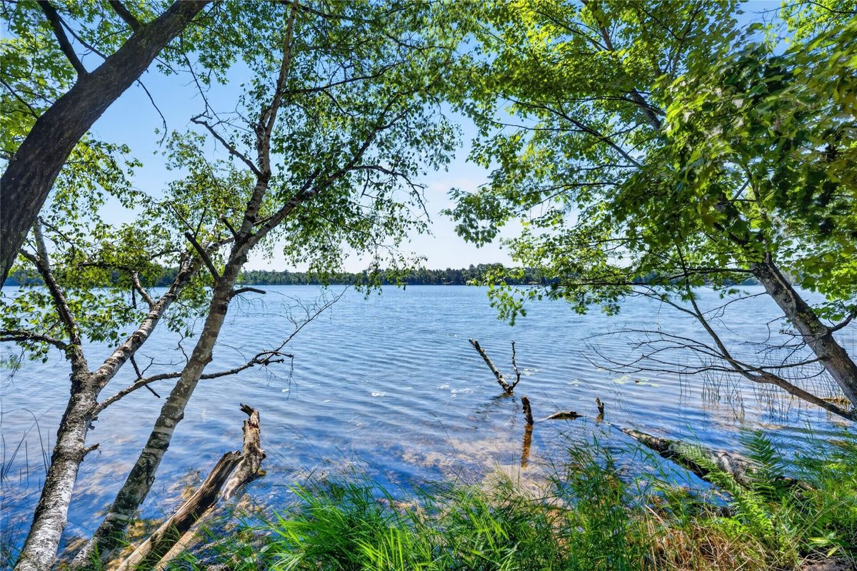 51260 Birch Lake Road, Barnes WI 54873 - Land house for sale - MLS #1603549 - image21