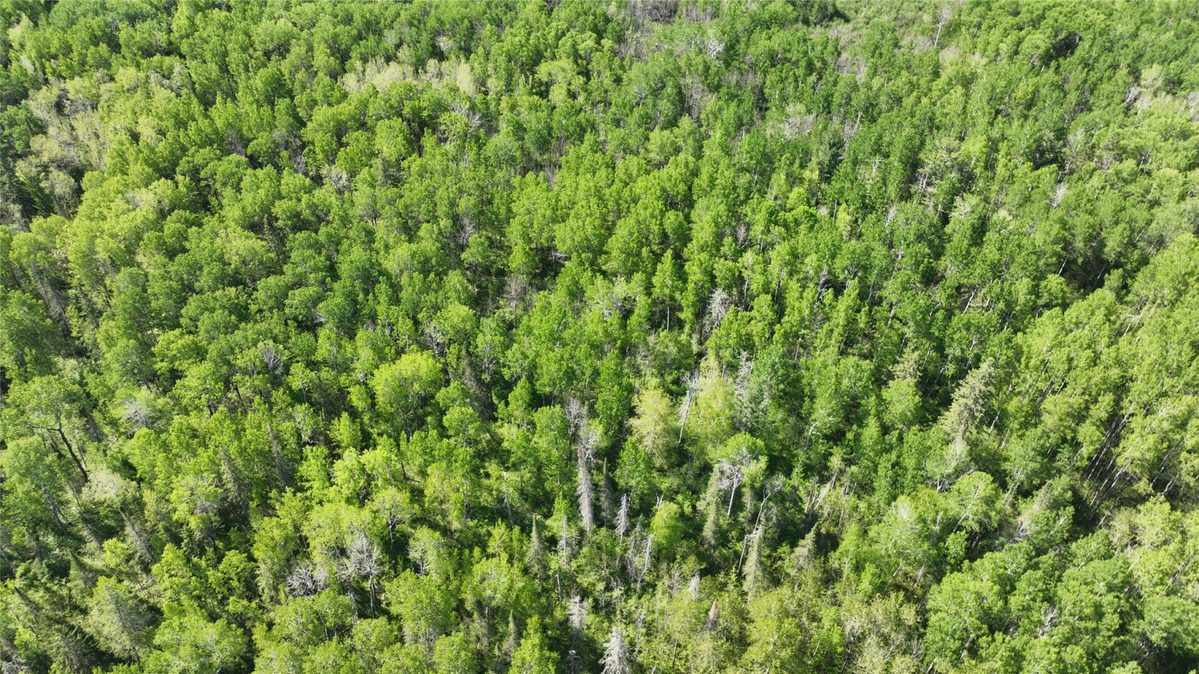 1640 County Road W, Superior WI 54880 - Land house for sale - MLS #1602205 - image20