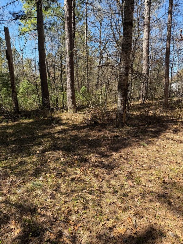 2395 Island Lake Road, Barnes WI 54873 - Land house for sale - MLS #1601454 - image11