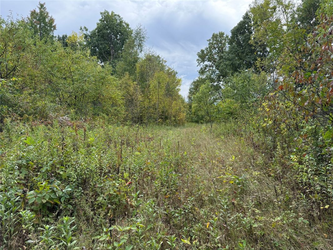 XXX 23 1/2 Street, Rice Lake WI 54868 - Land house for sale - MLS #1605312 - image4