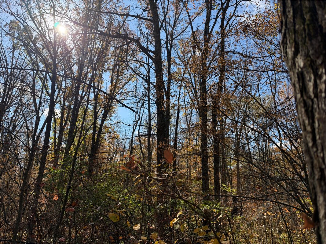 OOO Richfield Wood Road, Arpin WI 54410 - Land house for sale - MLS #1605936 - image44