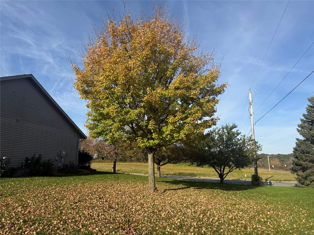 911 Windsong Lane, Onalaska WI 54650 - Residential house for sale - MLS #1606092 - image8