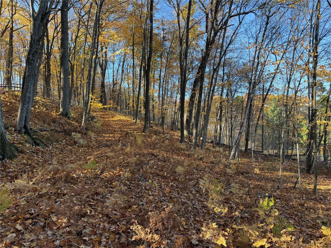 XXX County Hwy MD, Sarona WI 54870 - Land house for sale - MLS #1605948 - image16