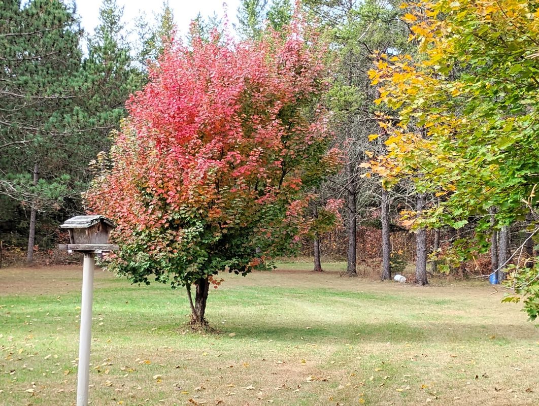 W3602 Willers Road, Springbrook WI 54875 - Residential house for sale - MLS #1602817 - image5