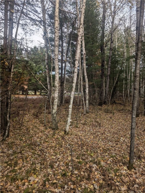 Lot 4 297th Avenue, Holcombe, WI — photo 5