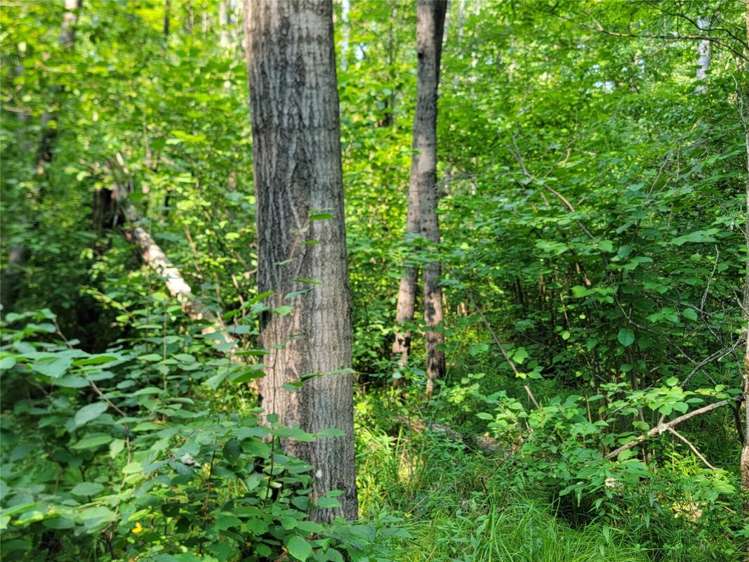 W4427 Spring Road, Prentice WI 54556 - Residential house for sale - MLS #1604416 - image30