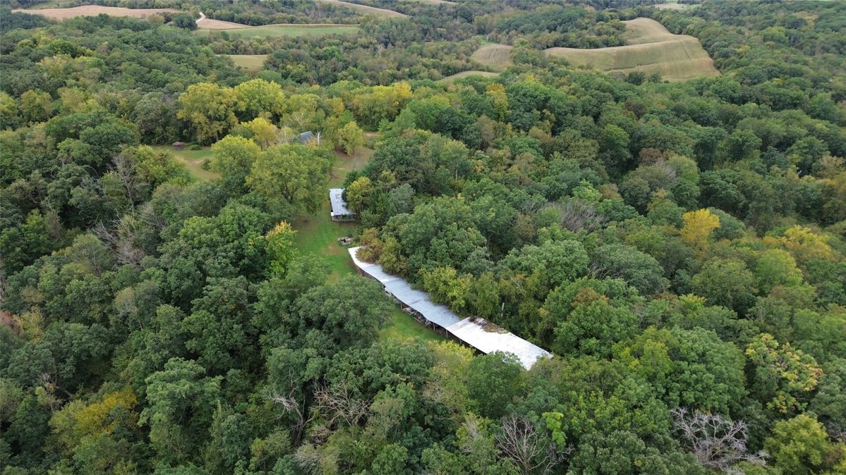 S828 Julson Ridge Road, Independence WI 54747 - Land house for sale - MLS #1605005 - image34