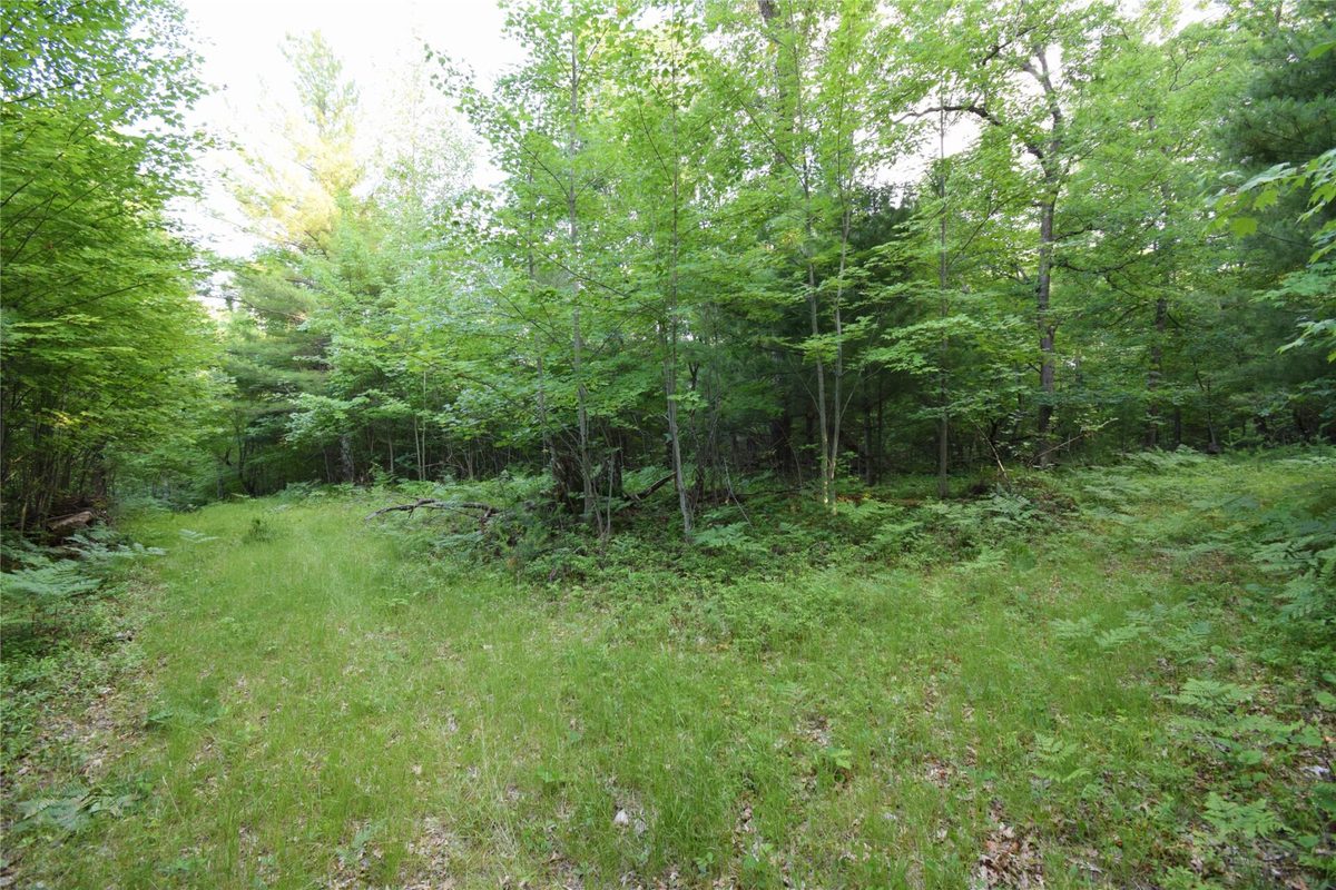 7230 County Road U, Danbury WI 54830 - Land house for sale - MLS #1602895 - image23