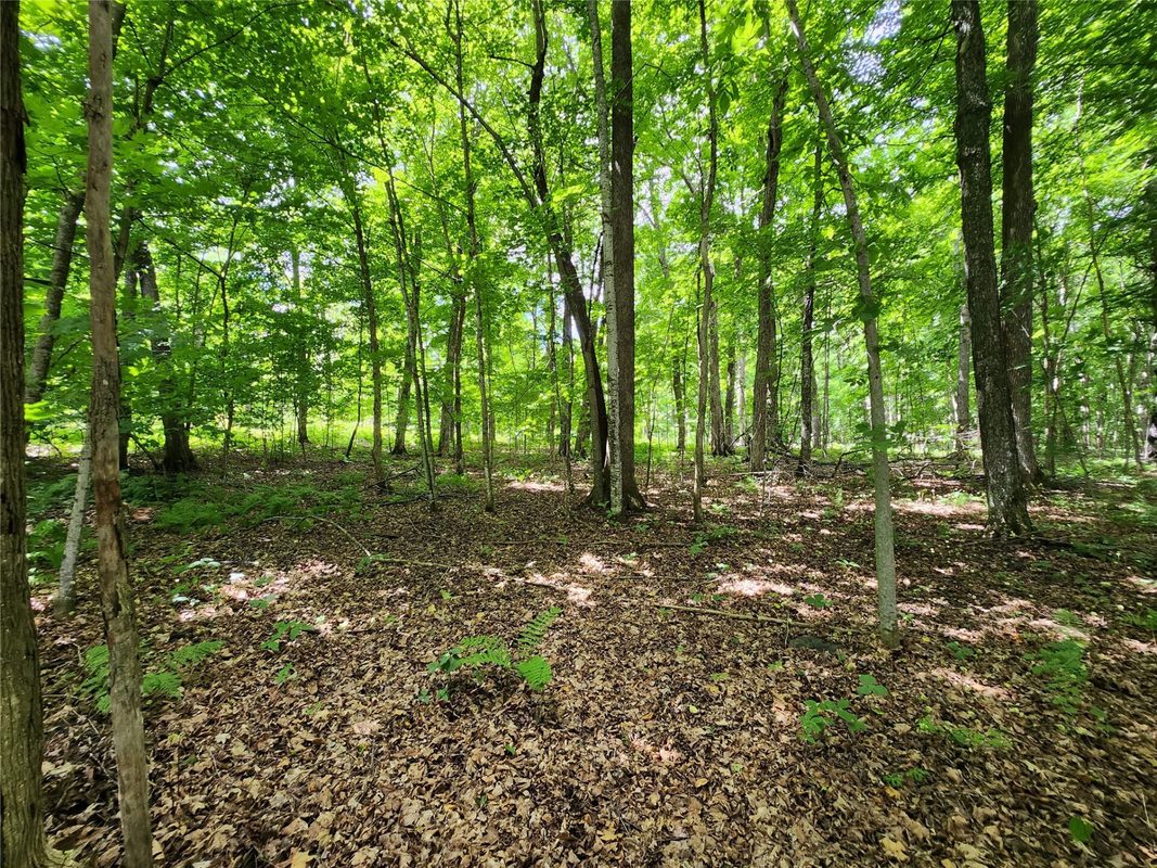 16799 Maple Terrace Drive, Birchwood WI 54817 - Residential house for sale - MLS #1603045 - image12
