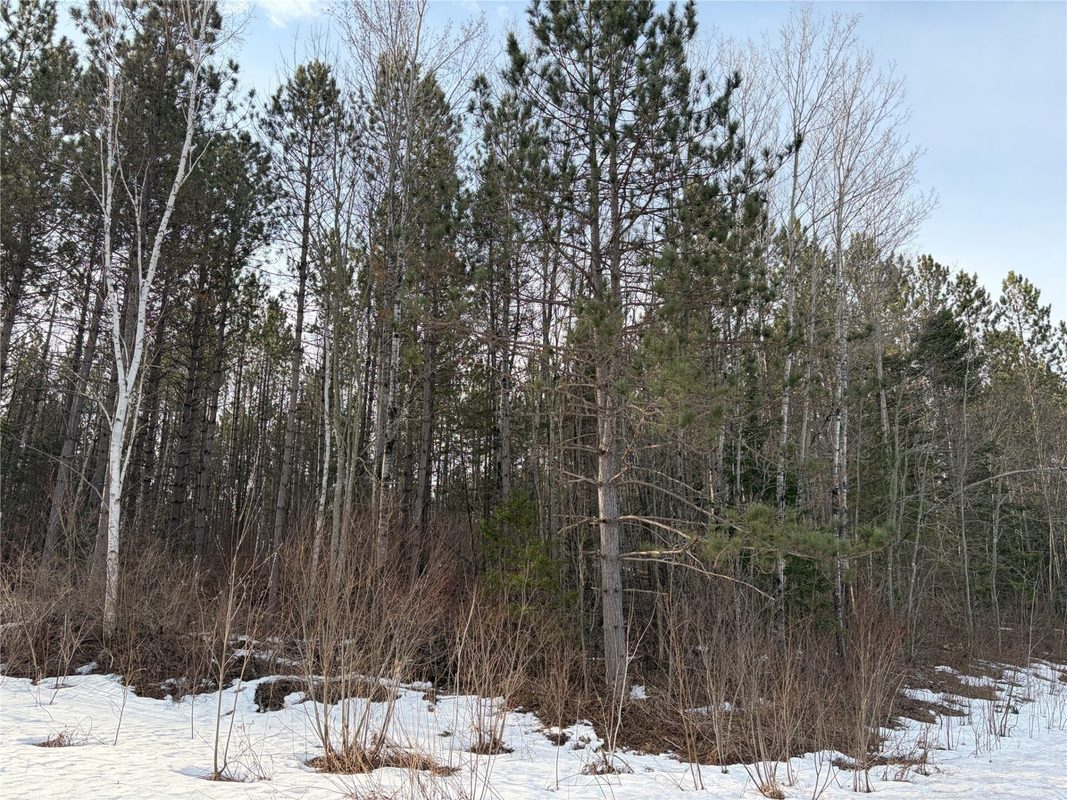 ON Barker Lake Road, Winter WI 54896 - Land house for sale - MLS #1599276 - image2