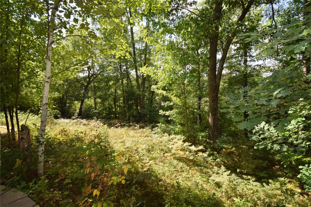 4646 Whitetail Path, Webster WI 54893 - Land house for sale - MLS #1604469 - image36
