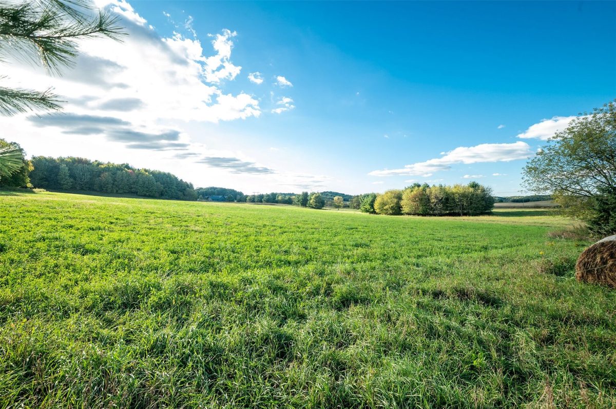 XXX 420th Avenue, Menomonie WI 54751 - Land house for sale - MLS #1605466 - image14