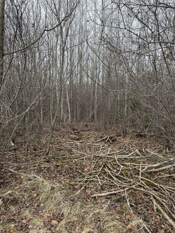 0 County Road EE, Elk Mound, WI — photo 13