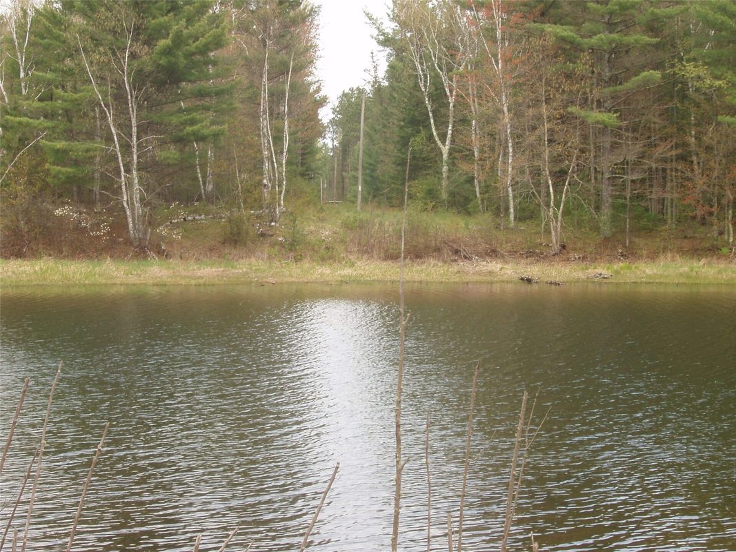 N16473 Patterson Lake Road, Park Falls WI 54552 - Land house for sale - MLS #1603551 - image7
