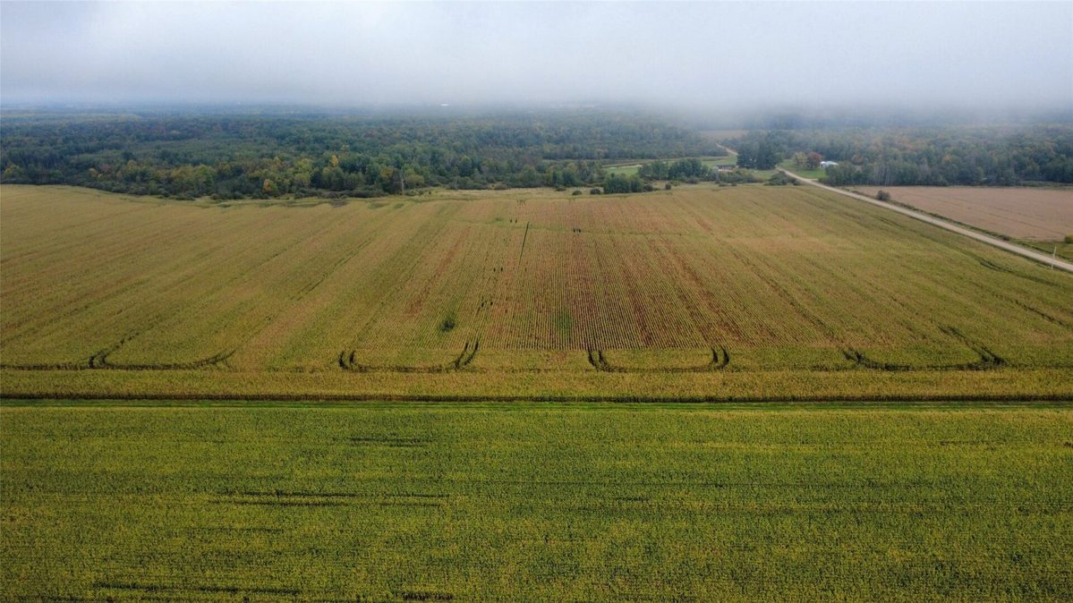 000 Miller Avenue, Owen WI 54460 - Land house for sale - MLS #1605509 - image9