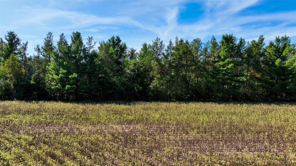 7562 Fairview Road, Ladysmith WI 54848 - Land house for sale - MLS #1605842 - image18