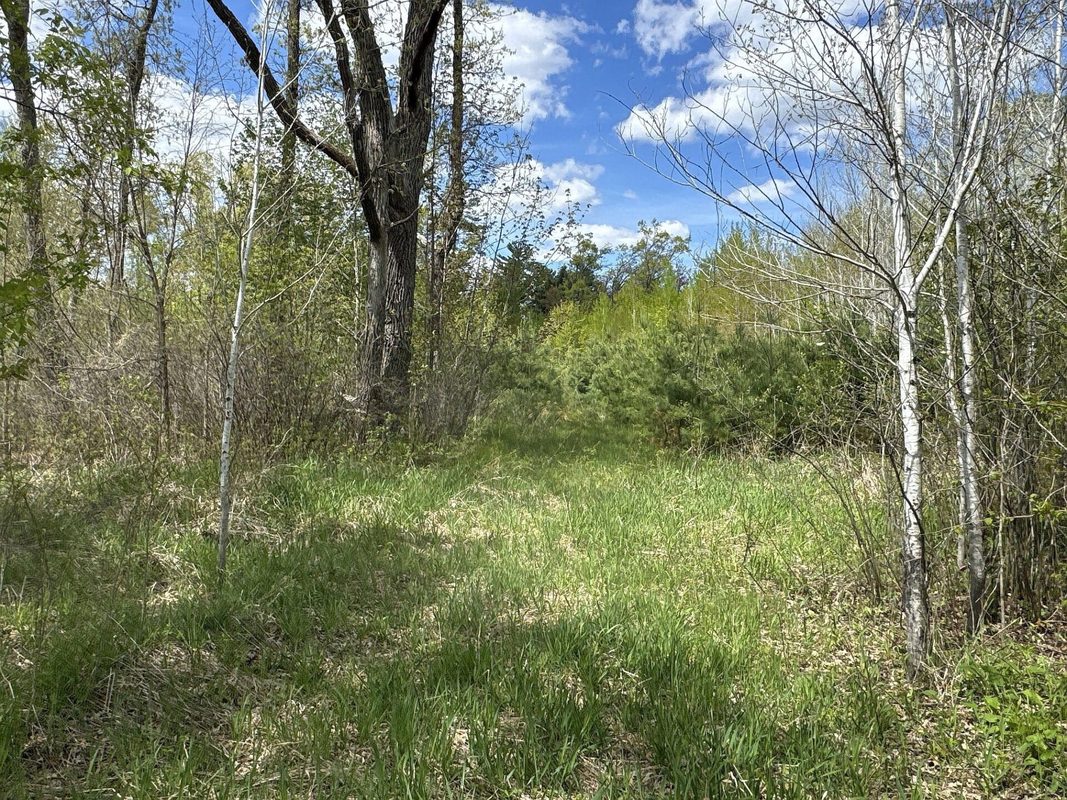 25275 Bruss Road, Webster WI 54893 - Land house for sale - MLS #1602158 - image8
