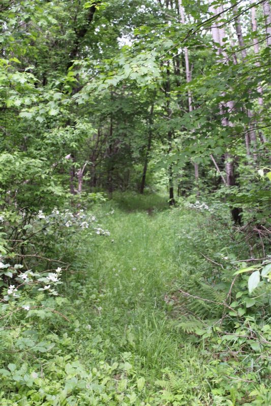 , Humbird WI 54746 - Residential house for sale - MLS #1602650 - image14