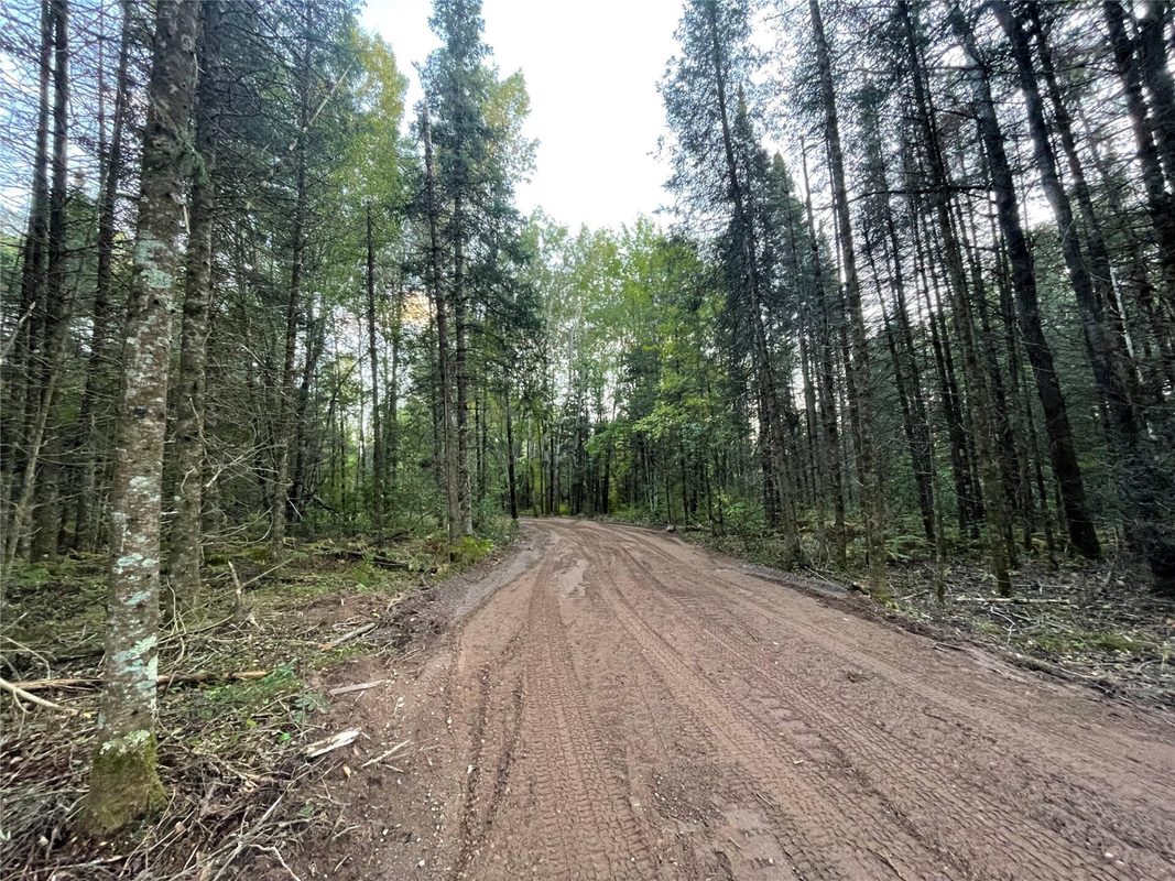Lot 3 Fadness Road, Winter WI 54896 - Land house for sale - MLS #1605263 - image2