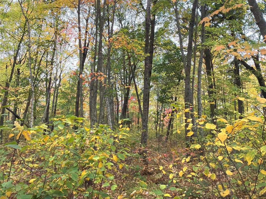 0 Klarquist Road, Webster WI 54840 - Land house for sale - MLS #1605651 - image10