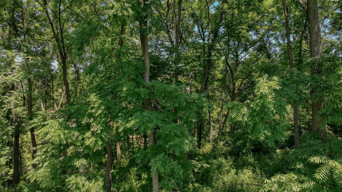 00 Garves Coulee Road, Bangor WI 54614 - Land house for sale - MLS #1603270 - image12