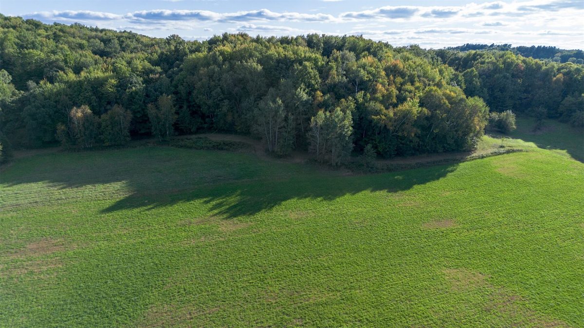 XXX 420th Avenue, Menomonie WI 54751 - Land house for sale - MLS #1605466 - image3