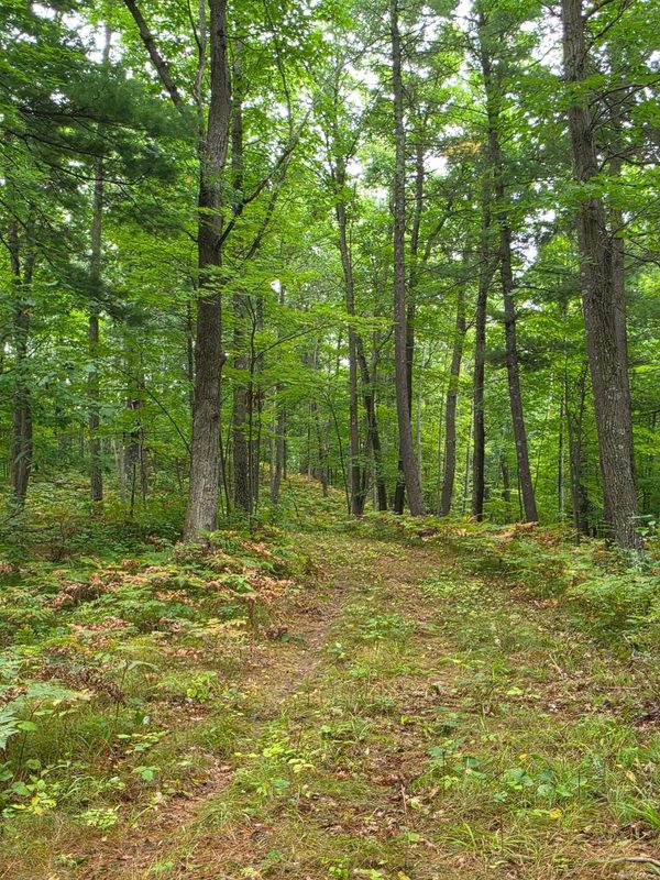 00 10 1/2-28 1/2, Barronett WI 54813 - Land house for sale - MLS #1604830 - image28
