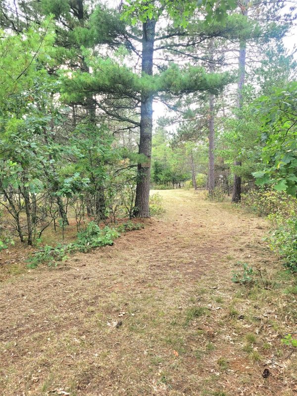 0 Blueberry Rd, Gordon WI 54838 - Land house for sale - MLS #1604990 - image3