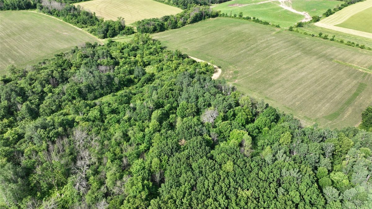 XX County Road BB, Baldwin WI 54002 - Land house for sale - MLS #1602567 - image19