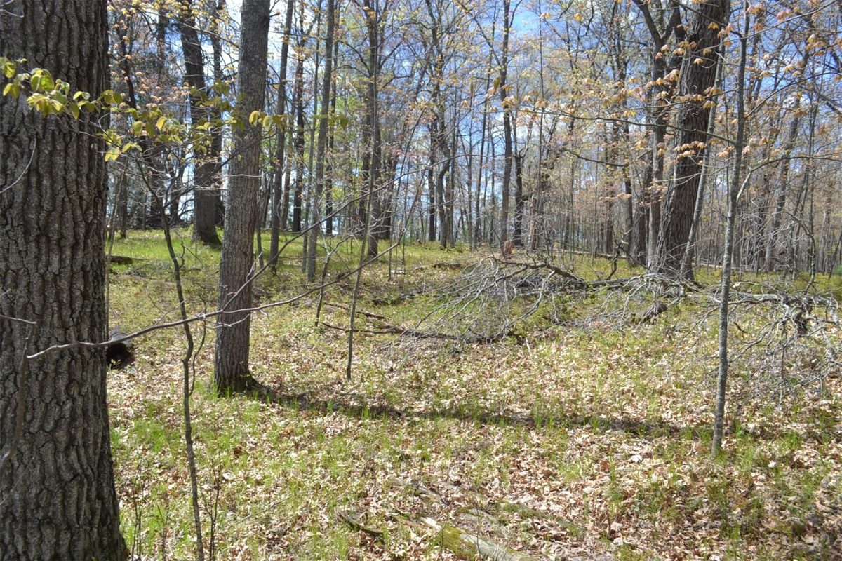 1391 Dock Lake Road, Spooner WI 54801 - Land house for sale - MLS #1601069 - image7