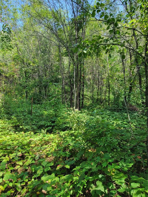 302 Arbor Hills Circle, Eau Claire WI 54703 - Land house for sale - MLS #1604399 - image2