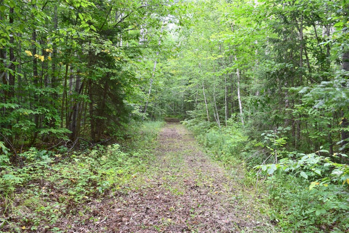 26615 Star Route Road, Bayfield WI 54814 - Land house for sale - MLS #1604800 - image42