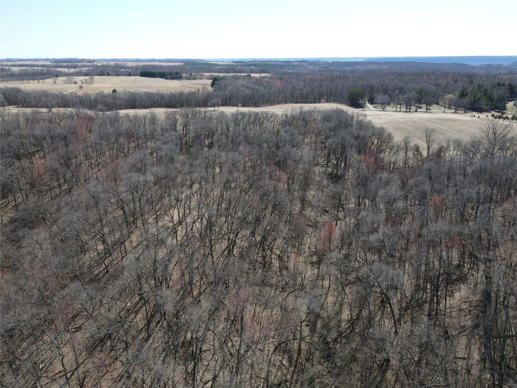000 160th Avenue Maiden Rock WI 54750 — photo 10