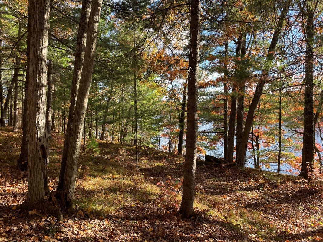 7 W Tanager Trail, Hayward, WI — photo 24