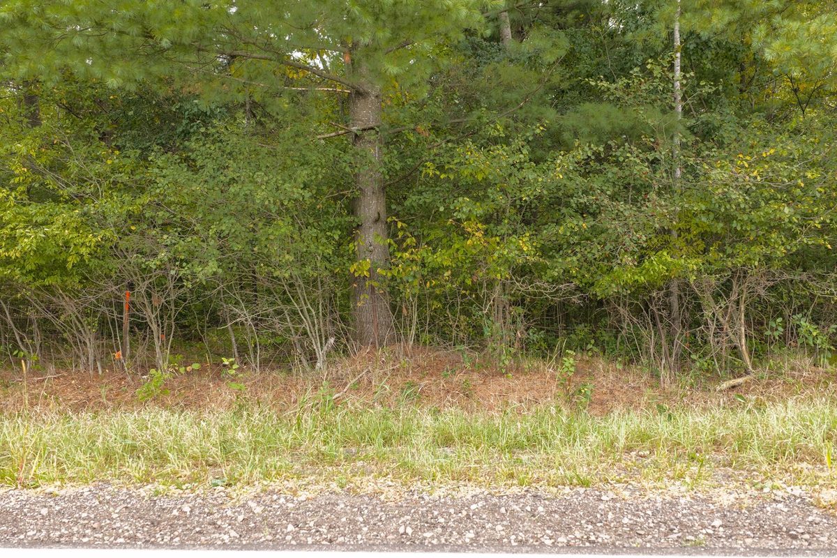 Lot 2 County Hwy X, Cadott WI 54727 - Land house for sale - MLS #1605345 - image15
