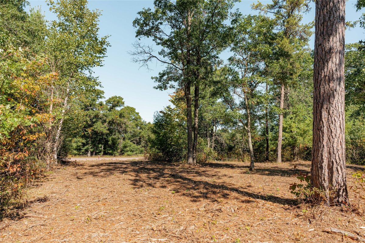 0 County Road T, Minong WI 54859 - Land house for sale - MLS #1605534 - image9