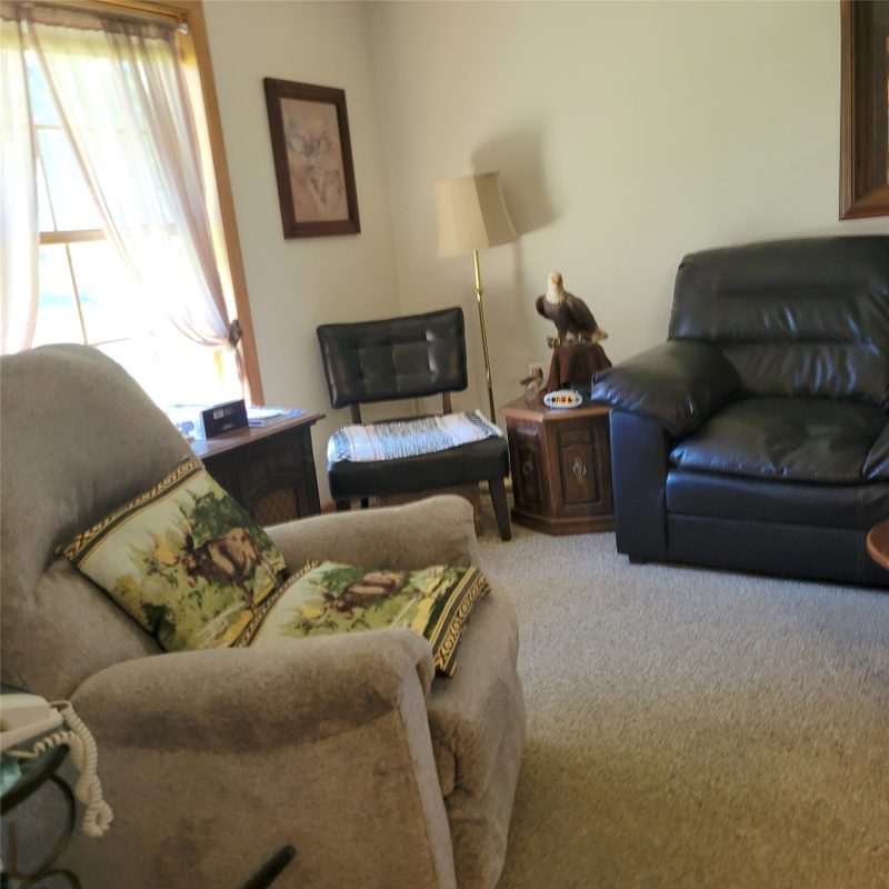 207 Owen Street, Arcadia WI 54612 - Residential house for sale - MLS #1604443 - image4
